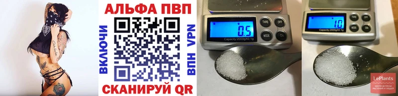 A PVP СК  Полярные Зори 