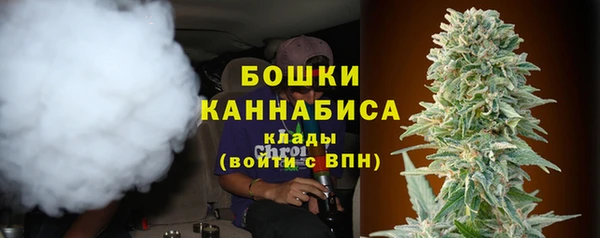 PSILOCYBIN Алексеевка