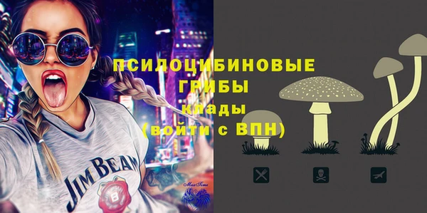 крисы Алексин