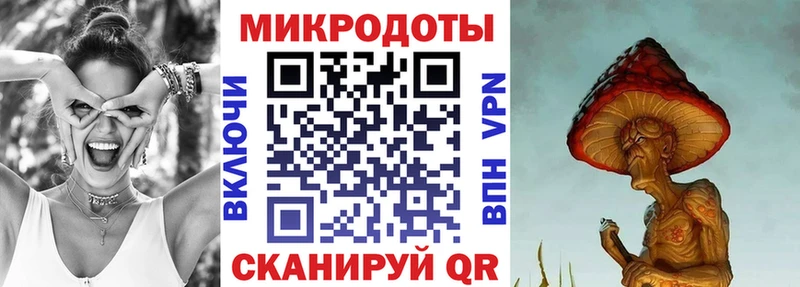 Псилоцибиновые грибы Psilocybine cubensis  Полярные Зори 